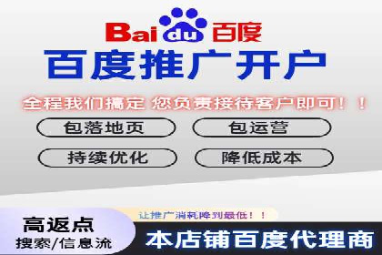 竞价广告赚钱案例：从新手到专家
